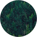 Polo Zkova profile picture